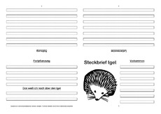 Igel-Faltbuch-vierseitig-4.pdf